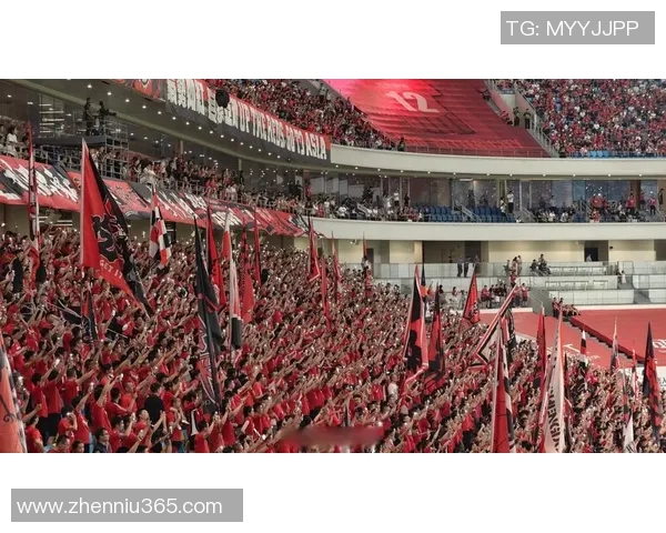 成都足球队灵活性引发热议球迷与专家各执己见的背后故事