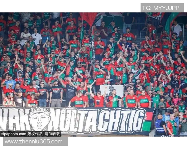 当足球明星突然出现时球迷们的狂欢与惊喜瞬间点燃全场热情