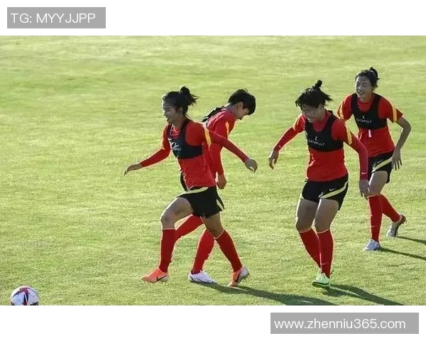 上海排球队在洲际杯中的默契配合与战术执行分析 上海排球队在洲际杯中的默契配合与战术执行分析