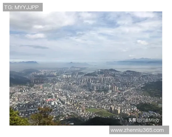 台山足球明星全景盘点及其成就回顾与未来展望