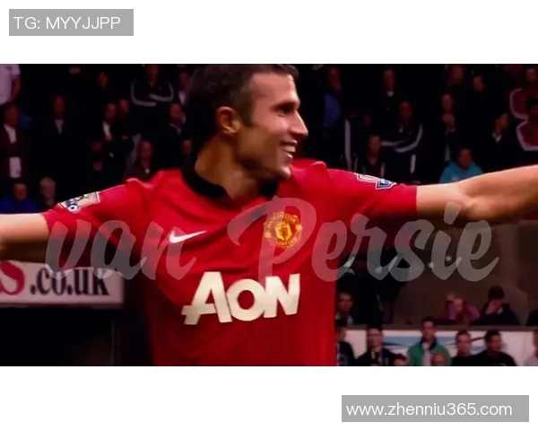 足球明星范佩西图片