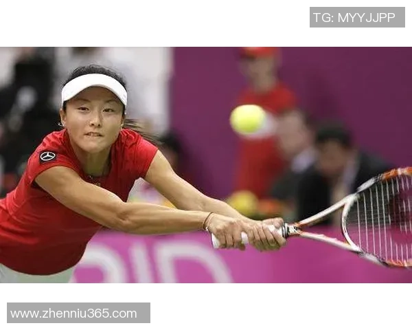 成都排球队在联合会杯中的精彩表现与实力分析