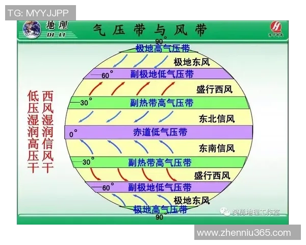 杭州足球队整体压制战术解析及其对比赛结果的影响分析