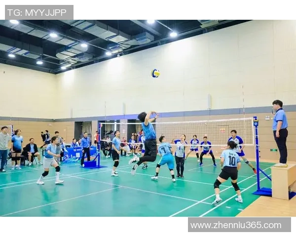 杭州排球队技术创新引领排球新潮流实力排名再创新高