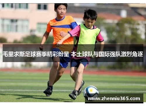 毛里求斯足球赛季精彩纷呈 本土球队与国际强队激烈角逐