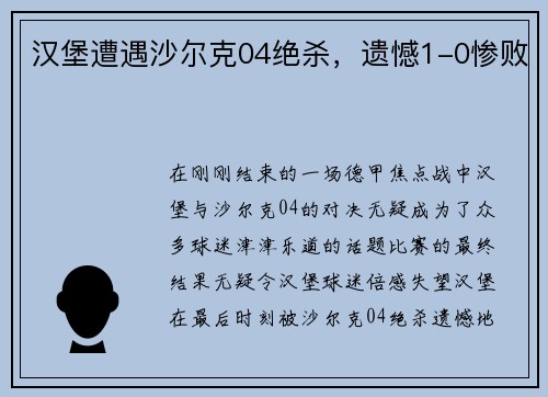 汉堡遭遇沙尔克04绝杀，遗憾1-0惨败