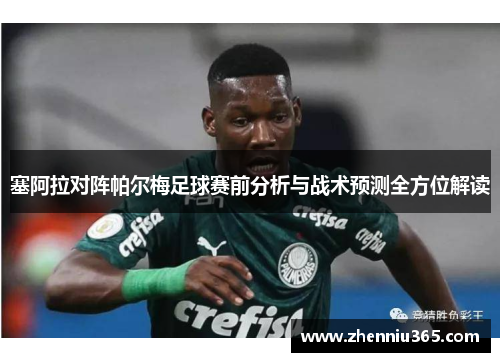 塞阿拉对阵帕尔梅足球赛前分析与战术预测全方位解读
