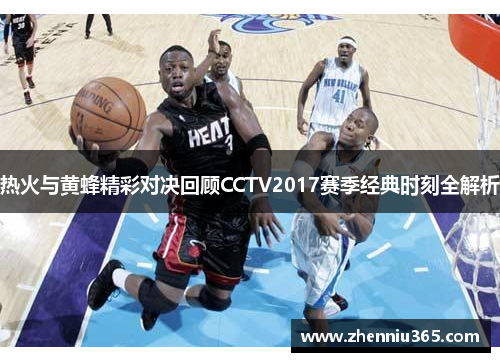 热火与黄蜂精彩对决回顾CCTV2017赛季经典时刻全解析