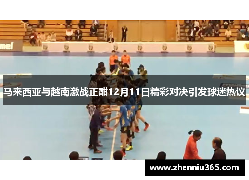 马来西亚与越南激战正酣12月11日精彩对决引发球迷热议